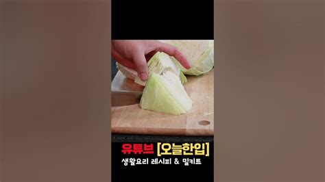 양배추 3가지 손질방법 양배추 보관법 오늘한입 Shorts Youtube