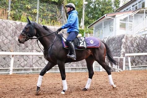 【東スポ杯2歳s・血統値】ハーツクライ産駒〝最後の大物候補〟ファーヴェント 半姉は快進撃、高確率な配合も後押し東スポ競馬 Goo ニュース