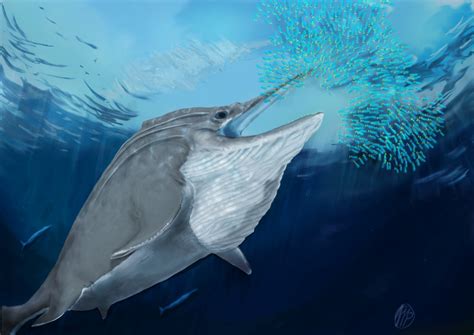 Fossils Of Giant Marine Reptiles Found High In The Swiss Alps Reuters