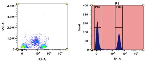 Buccutite™ Rapid Apc Ifluor® 700 Tandem Antibody Labeling Kit