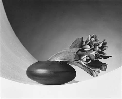 Flora Les Fleurs De Mapplethorpe Aux éditions Phaidon L Œil De La Photographie Robert