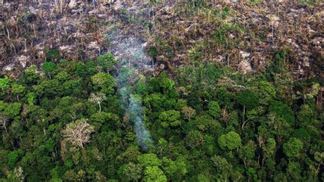 Em 18 anos Amazônia perdeu área maior que estado de São Paulo aponta