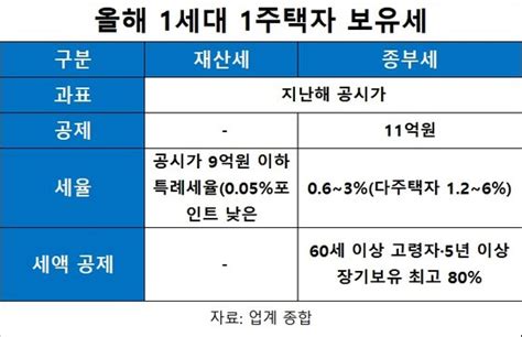 단독 재산세·종부세 1주택 기준 다르다이상한 보유세 완화 중앙일보