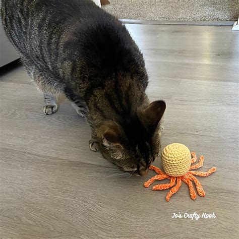 Ravelry: Squid Cat Toy pattern by Jo's Crafty Hook