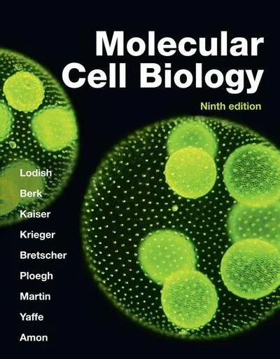 Molecular Cell Biology IE