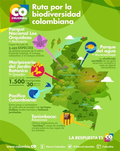 Ruta De La Biodiversidad Colombiana Mucho Más Sobre Nuestra Hermosa