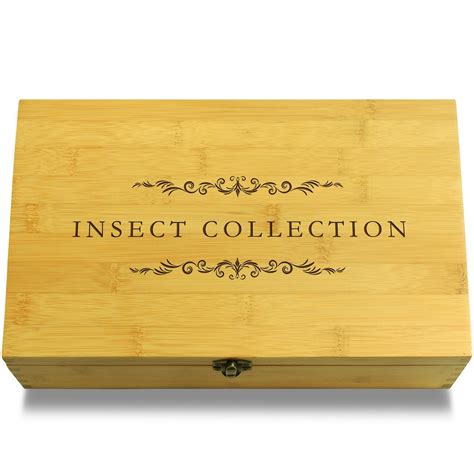 Insect Collection Insect Multikeep Box Adjustable Bamboo Wood Organizer ...