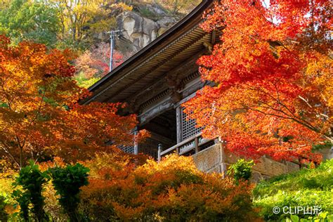 山寺と紅葉：筋肉痛の覚悟で階段をのぼると待っている絶景とは