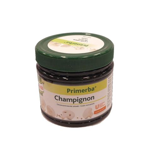 Knorr Primerba Gewürzpaste Champignon 340g Kräuterpaste