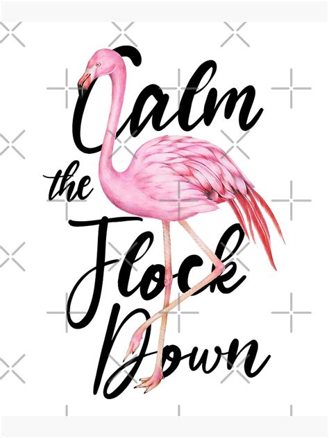 Calm The Flock Down Flamingo Calm Down Humor Funny Gifs Art