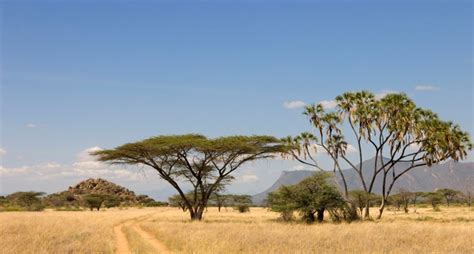 Plains Of Africa – Life Changing Safari Experiences