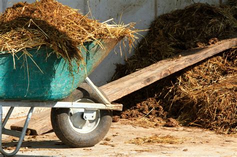 Riedauer Landwirt stürzte von Heuboden Schärding