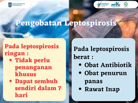 Waspada Leptospirosis Saat Banjir DINAS KESEHATAN PROVINSI NTB