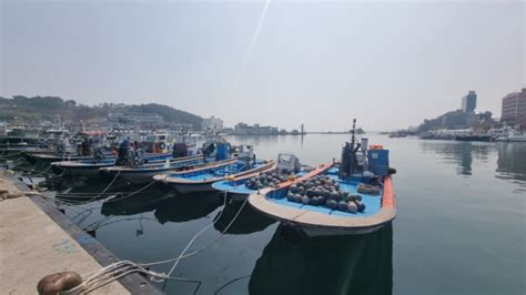 기장대변항맛집 기장 멸치구이집 기장연화리맛집 멸치회 남항횟집 네이버 블로그