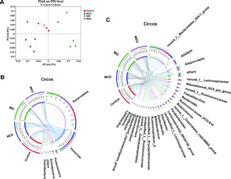 Egcg Shifting The Microbiome Dysbiosis Driven By Mcd Induced Nash A