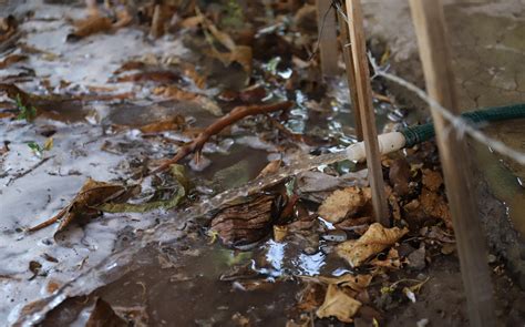 En Tamaulipas Van 30 Sanciones A Empresas Desperdiciadoras De Agua