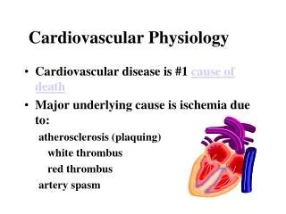 PPT - Cardiovascular Physiology PowerPoint Presentation, free download ...