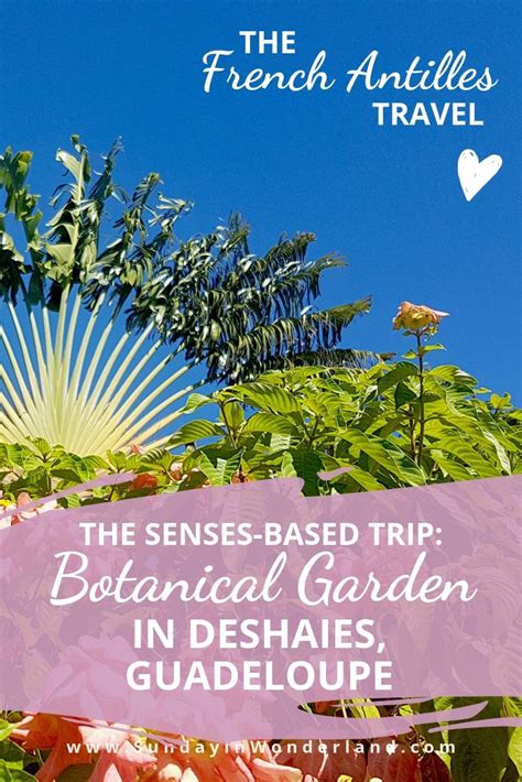 Deshaies Botanical Garden - the most charming place in Guadeloupe