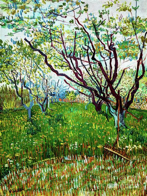 The White Orchard Van Gogh Atelier Yuwa Ciao Jp