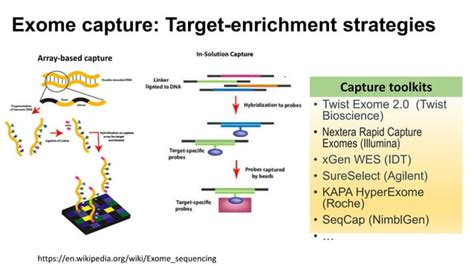 Whole Exome Sequencing Data Analysis Pptx