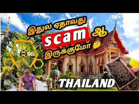 Thailand Ep Mr Pk Vlogs Big Bee Farm Youtube