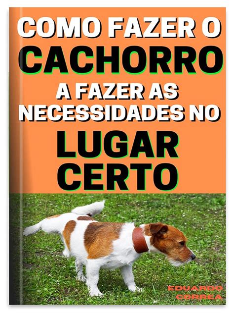 Amazon Como Ensinar O Cachorro A Fazer As Necessidades No Lugar