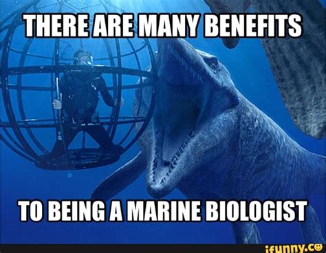 Mosasaurus Memes Best Collection Of Funny Mosasaurus Pictures On Ifunny