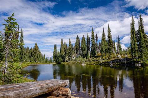 Top 10 Things to Do in Mount Revelstoke National Park