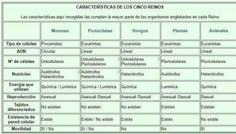 Reinos De La Naturaleza Los 5 Reinos Areaciencias