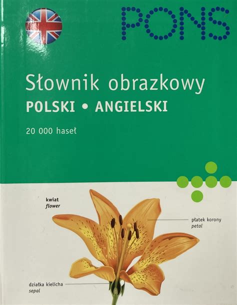 Słownik obrazkowy PONS POLSKI ANGIELSKI Płock Kup teraz na