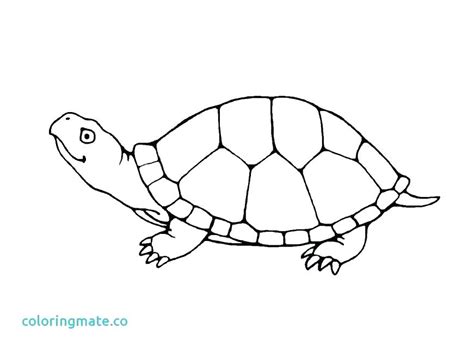 Leatherback Sea Turtle Coloring Page at GetColorings.com | Free ...