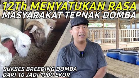 Sukses Breeding Domba Dari 10 Jadi 1000 Ekor Dengan Pakan MURAH Terbaik