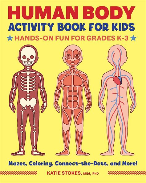 Human Body Activity Book For Kids Hands On Fun For Grades K 3 Stokes