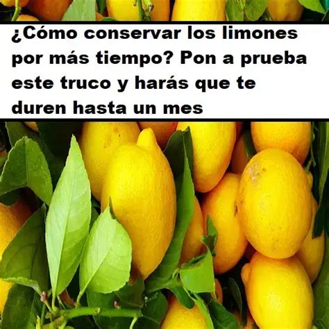 C Mo Conservar Los Limones Por M S Tiempo Pon A Prueba Este Truco Y