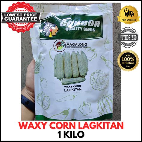 CONDOR SEEDS WAXY CORN LAGKITAN 1 KILO Lazada PH