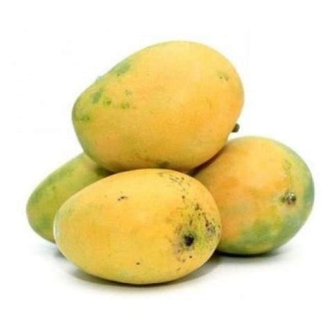 Banganapalli Mango Online Salem Mango Door Delivery