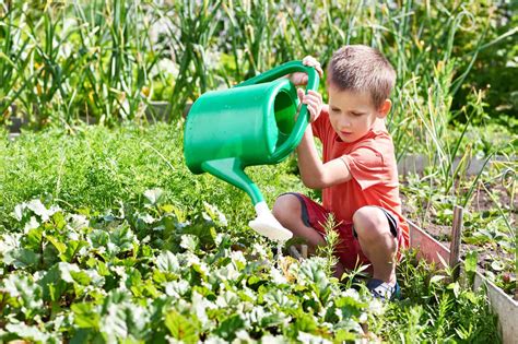 Beobachten Buddeln Naschen Tolle Ideen F R Ein Buntes Kinderbeet