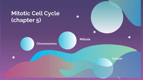 mitotic cell cycle  xhovana sejdia  prezi