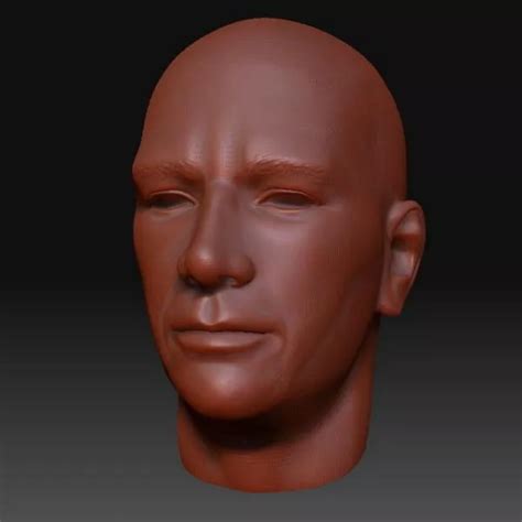 Realistic Human Head