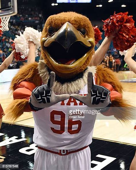 Swoop (University Of Utah) Photos and Premium High Res Pictures - Getty ...