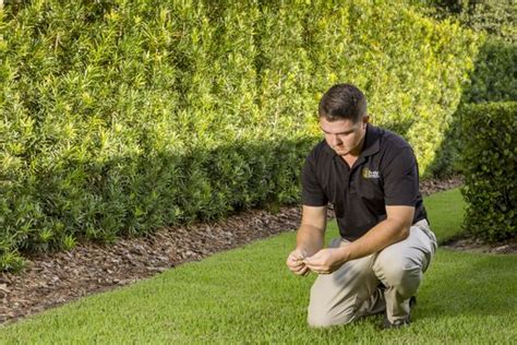 Drake Lawn And Pest Control Updated January 2025 52 Photos And 66 Reviews 1584 College Park