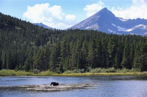 The beauty of America's national parks - ABC News