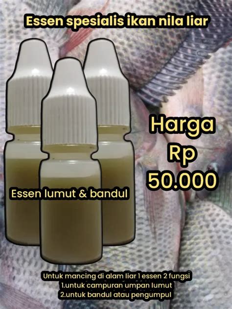 Essen Lumut Dan Pengumpul Spesialis Ikan Nila Lazada Indonesia