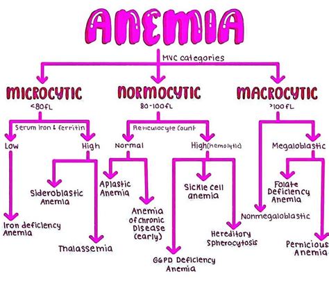 Anemia MEDizzy