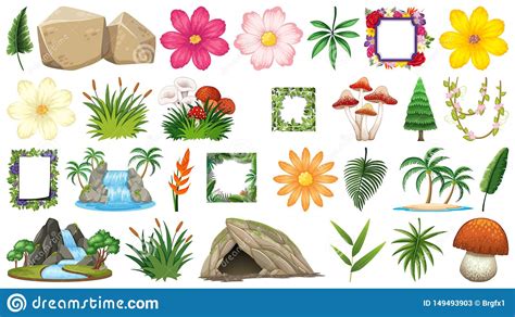 Placez Des Plantes Ornementales Illustration De Vecteur Illustration