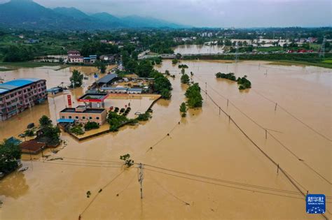 重庆12区县遭遇大暴雨 29条河流出现超警戒水位洪水中国网