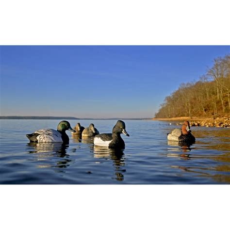 Higdon Standard Foam Filled Diver Duck Decoys - 6 Pack