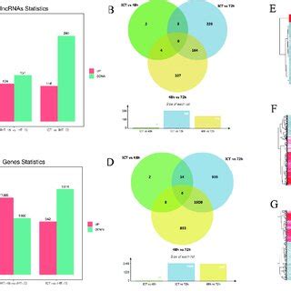 Identification And Expression Profile Analysis Of LncRNAs Obtained From