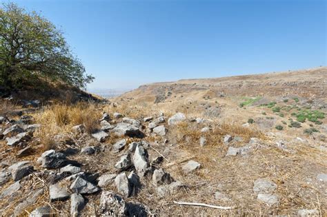 Nature Reserve Located in the Golan Heights Stock Image - Image of ...