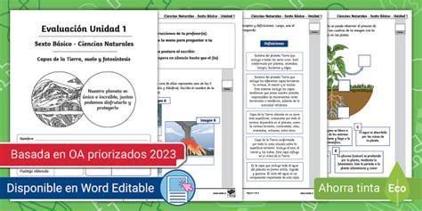 Prueba De Sexto Básico Ciencias Naturales Unidad 1 Twinkl